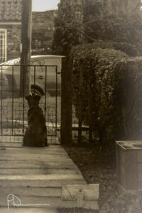 Sepia photograph of a cat sitting near a garden gate.